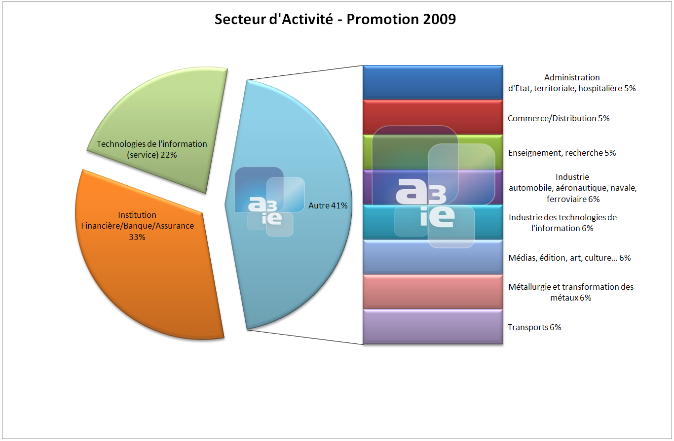 SectAct2009